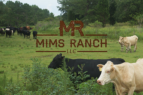 Mims Ranch, LLC